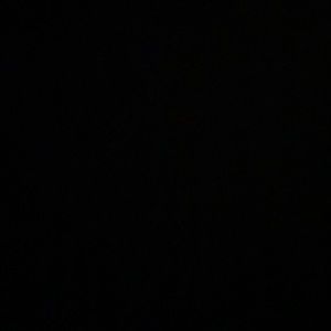 Meet your Posher, Gus